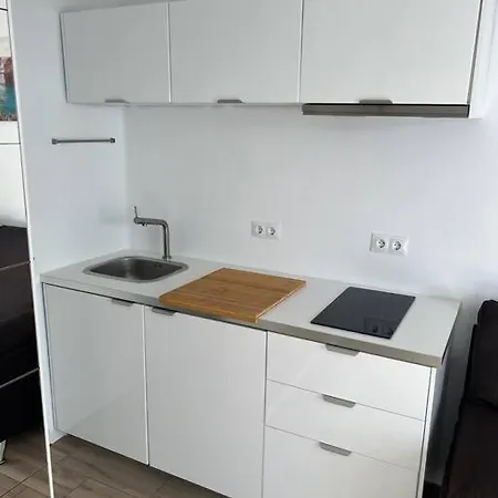 26 Palm Tree 푸에르토 델 카르멘