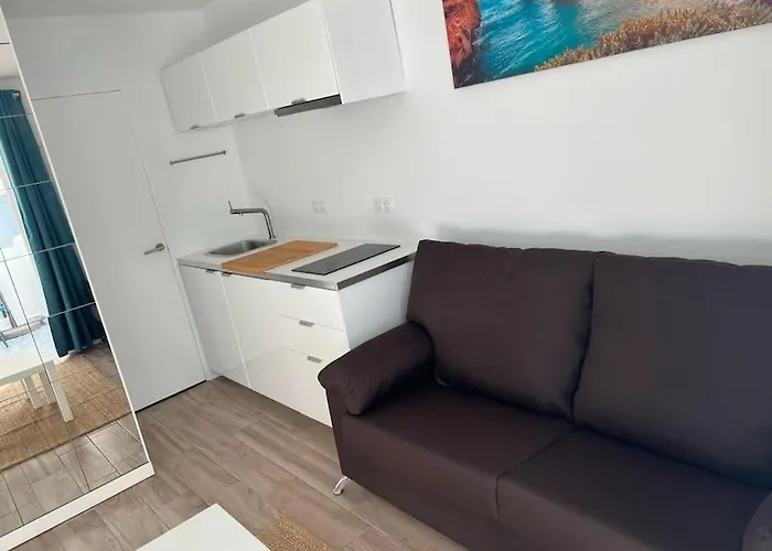 26 Palm Tree 卡门港