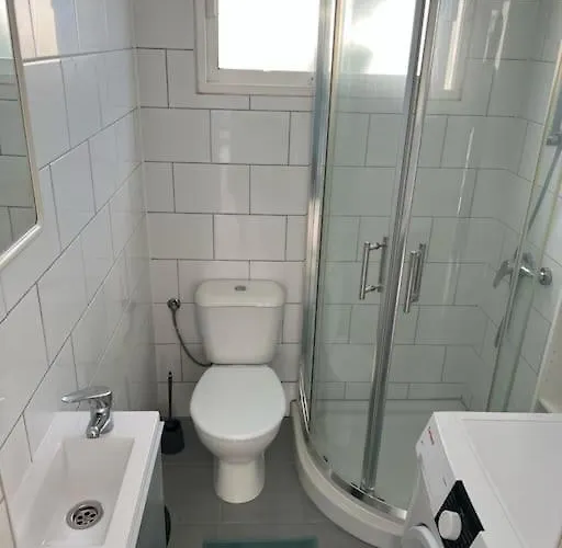 26 Palm Tree * Пуэрто дель Кармен